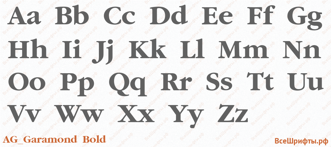 Шрифт AG_Garamond Bold с латинскими буквами Шрифт AG_Garamond Bold с латинскими буквами