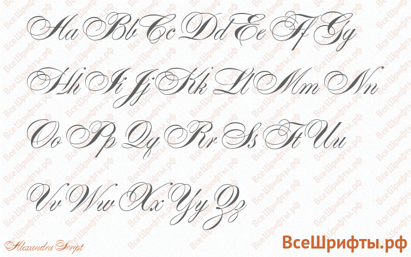 Шрифт Alexandra Script с латинскими буквами Шрифт Alexandra Script с латинскими буквами