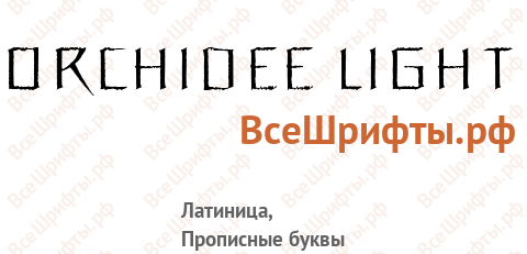 Шрифт Orchidee Light