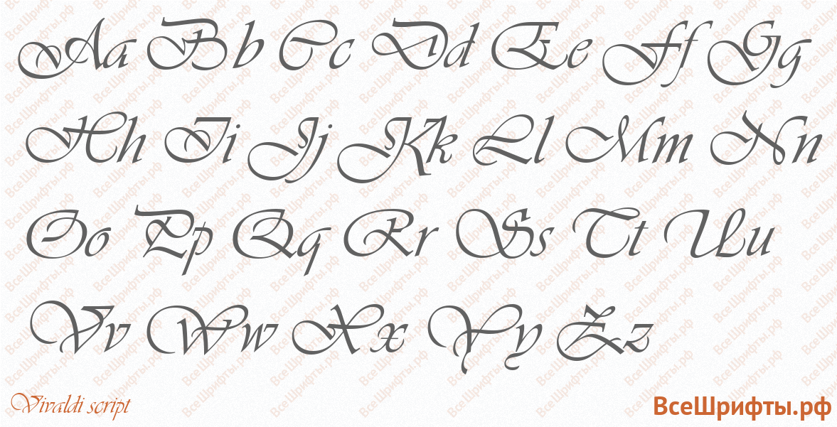 Шрифт Vivaldi script с латинскими буквами Шрифт Vivaldi script с латинскими буквами