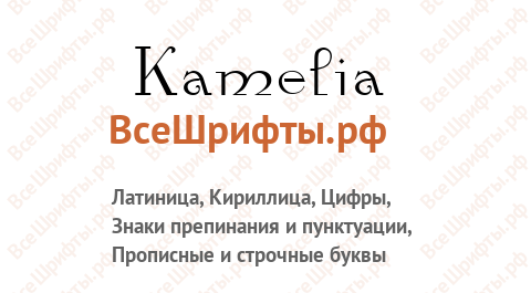 Шрифт Kamelia