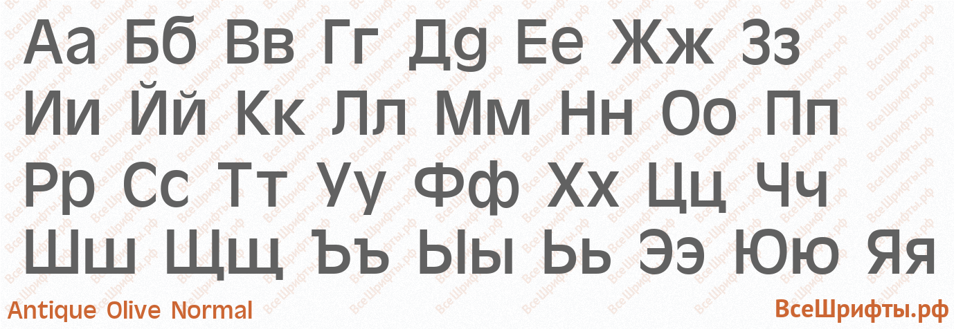 Шрифт Antique Olive Normal с русскими буквами Шрифт Antique Olive Normal с русскими буквами