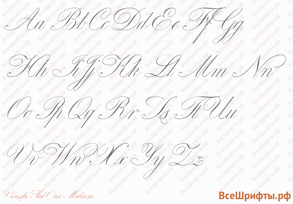 Шрифт Venski Sad One Medium с латинскими буквами Шрифт Venski Sad One Medium с латинскими буквами