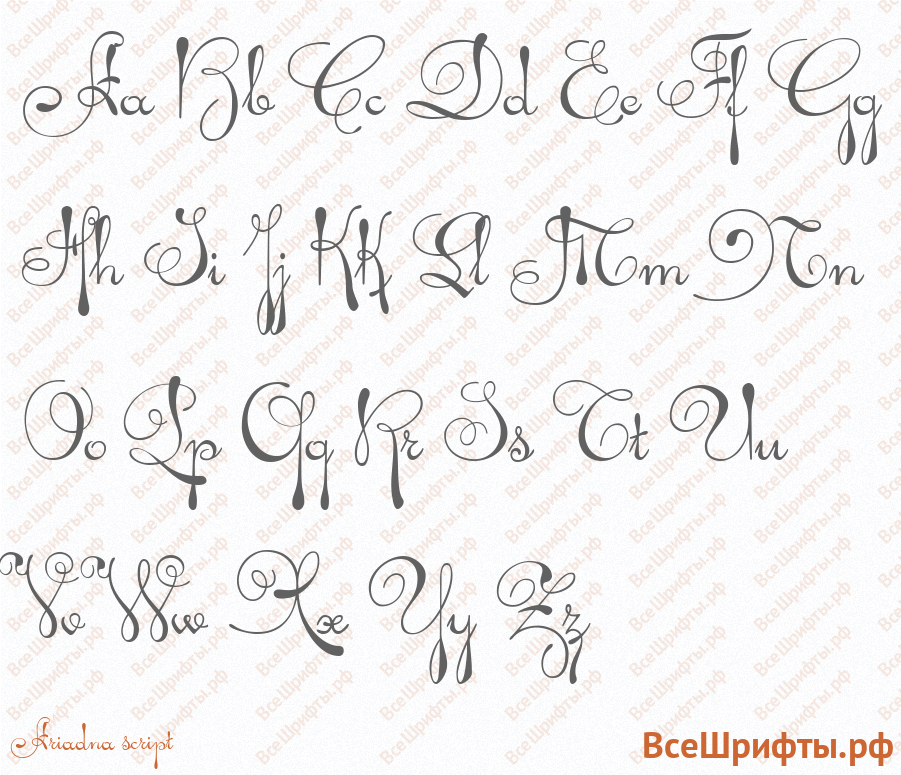 Шрифт Ariadna script с латинскими буквами Шрифт Ariadna script с латинскими буквами