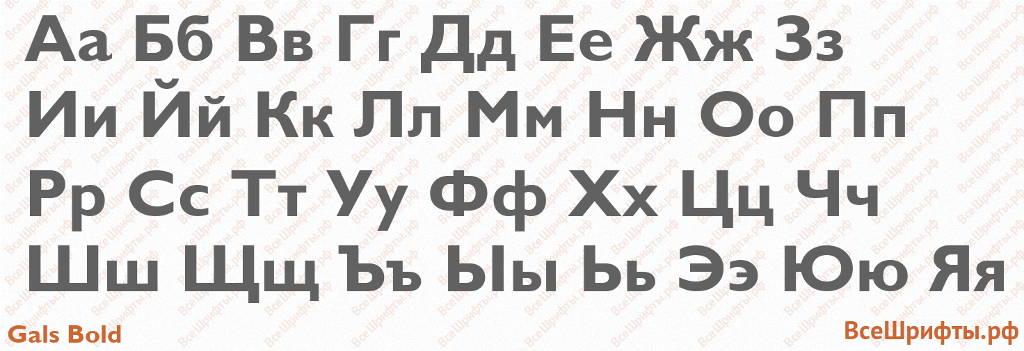 Шрифт Gals Bold с русскими буквами Шрифт Gals Bold с русскими буквами