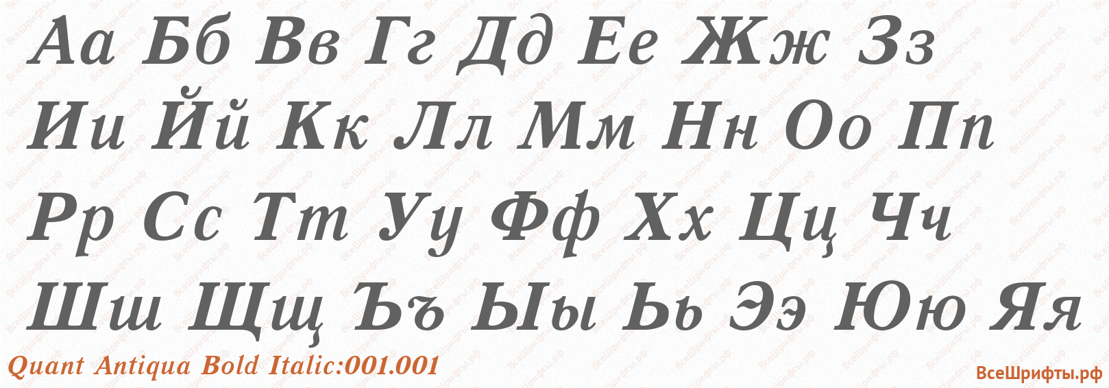 Шрифт Quant Antiqua Bold Italic:001.001 с русскими буквами Шрифт Quant Antiqua Bold Italic:001.001 с русскими буквами
