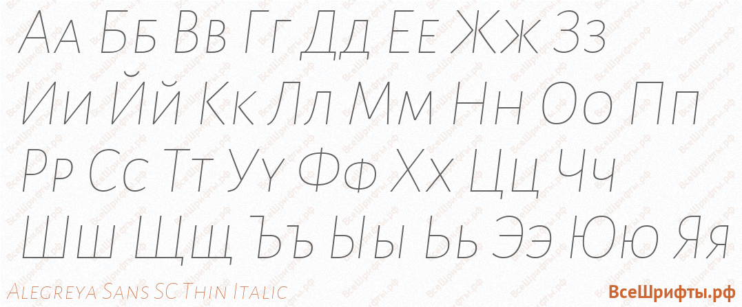 Шрифт Alegreya Sans SC Thin Italic с русскими буквами Шрифт Alegreya Sans SC Thin Italic с русскими буквами