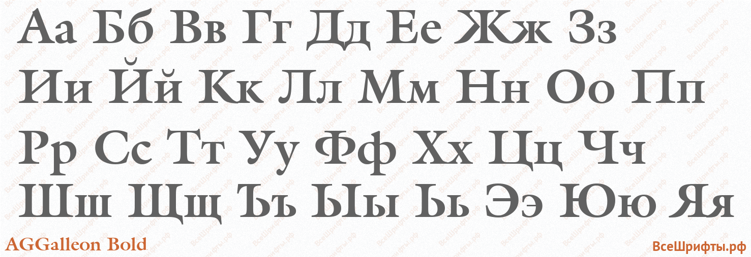 Шрифт AGGalleon Bold с русскими буквами Шрифт AGGalleon Bold с русскими буквами