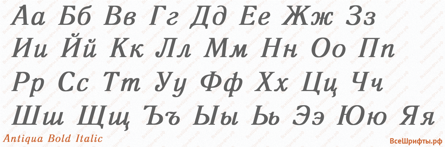 Шрифт Antiqua Bold Italic с русскими буквами Шрифт Antiqua Bold Italic с русскими буквами