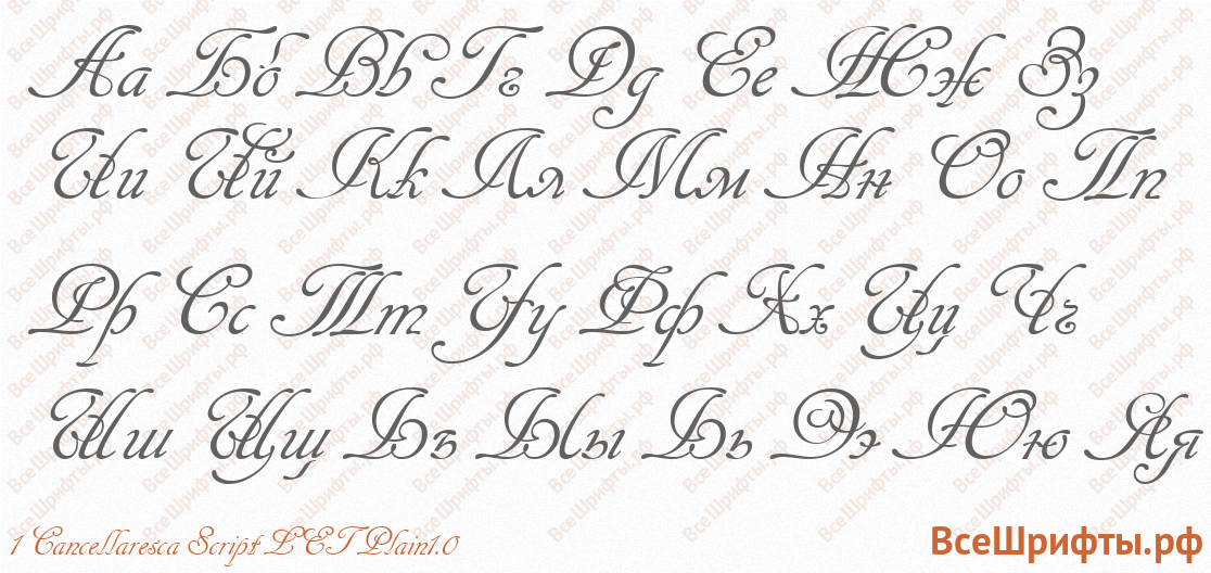 Шрифт 1 Cancellaresca Script LET Plain1.0 с русскими буквами Шрифт 1 Cancellaresca Script LET Plain1.0 с русскими буквами