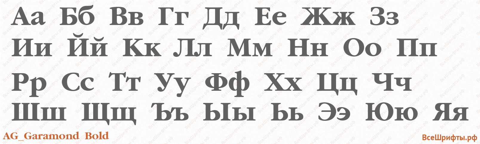 Шрифт AG_Garamond Bold с русскими буквами Шрифт AG_Garamond Bold с русскими буквами