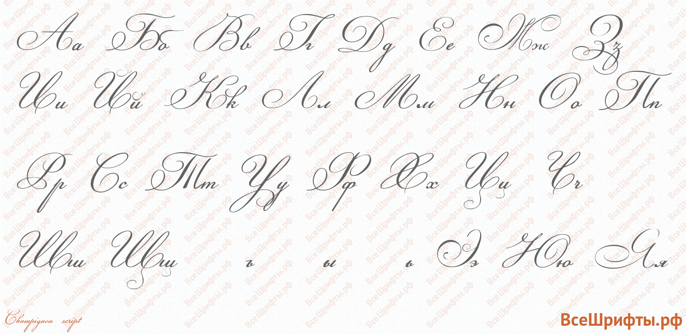 Шрифт Champignon script с русскими буквами Шрифт Champignon script с русскими буквами