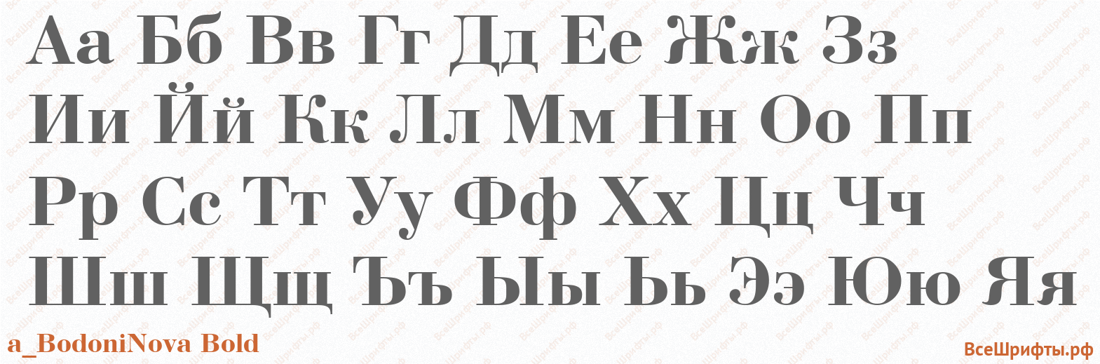 Шрифт a_BodoniNova Bold с русскими буквами Шрифт a_BodoniNova Bold с русскими буквами