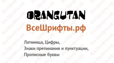 Шрифт Orangutan