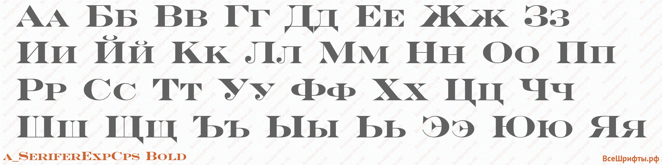 Шрифт a_SeriferExpCps Bold с русскими буквами Шрифт a_SeriferExpCps Bold с русскими буквами
