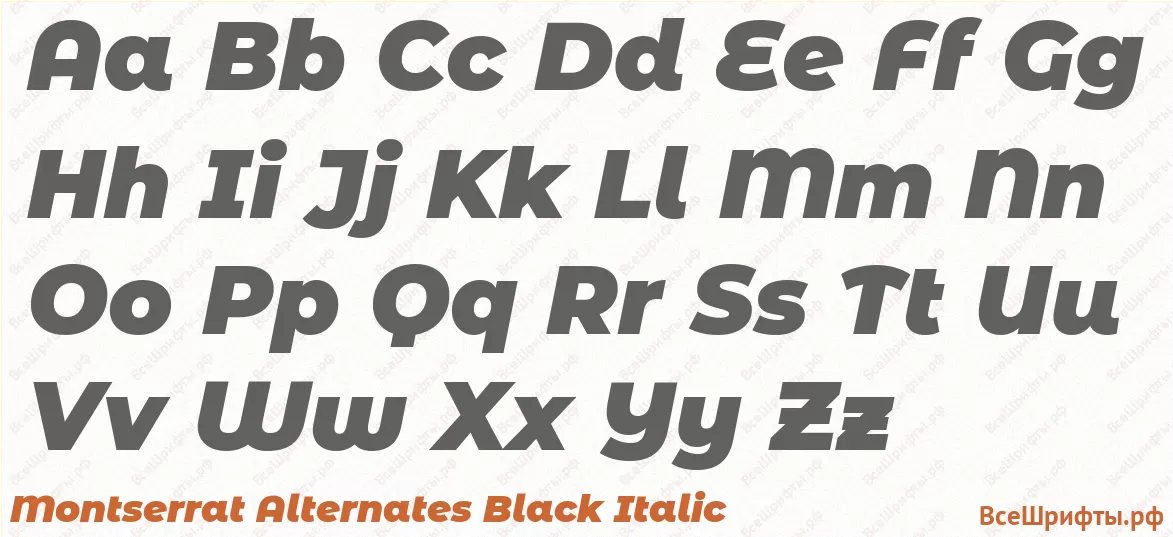 Шрифт Montserrat Alternates Black Italic с латинскими буквами Шрифт Montserrat Alternates Black Italic с латинскими буквами