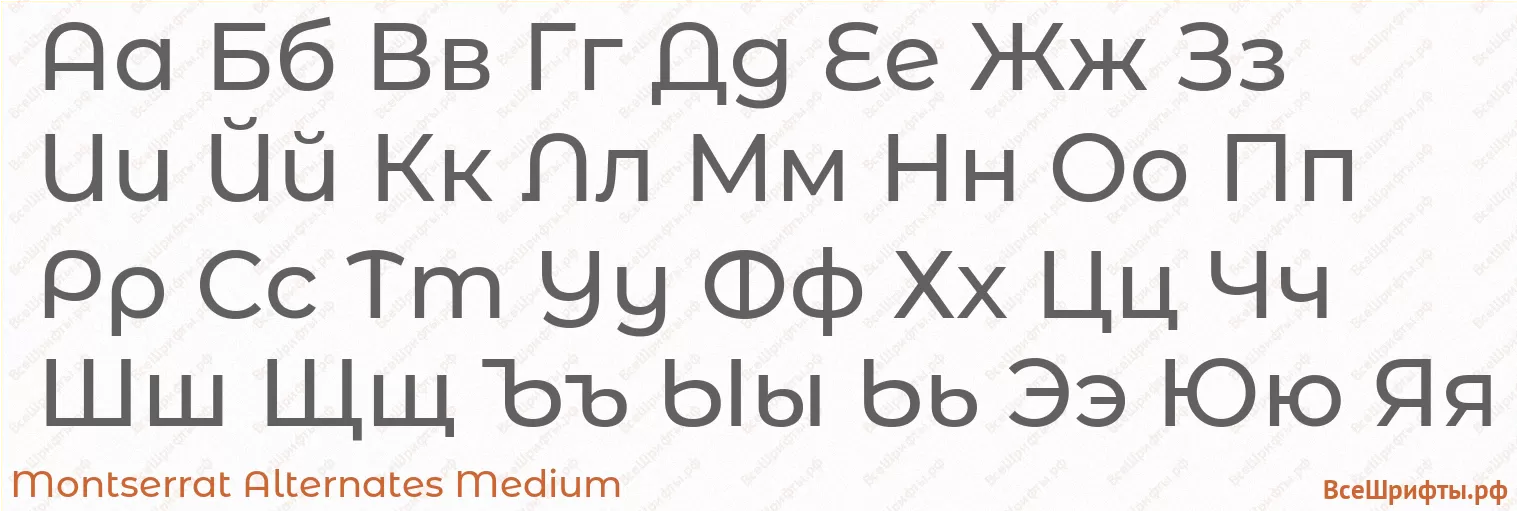 Шрифт Montserrat Alternates Medium с русскими буквами Шрифт Montserrat Alternates Medium с русскими буквами