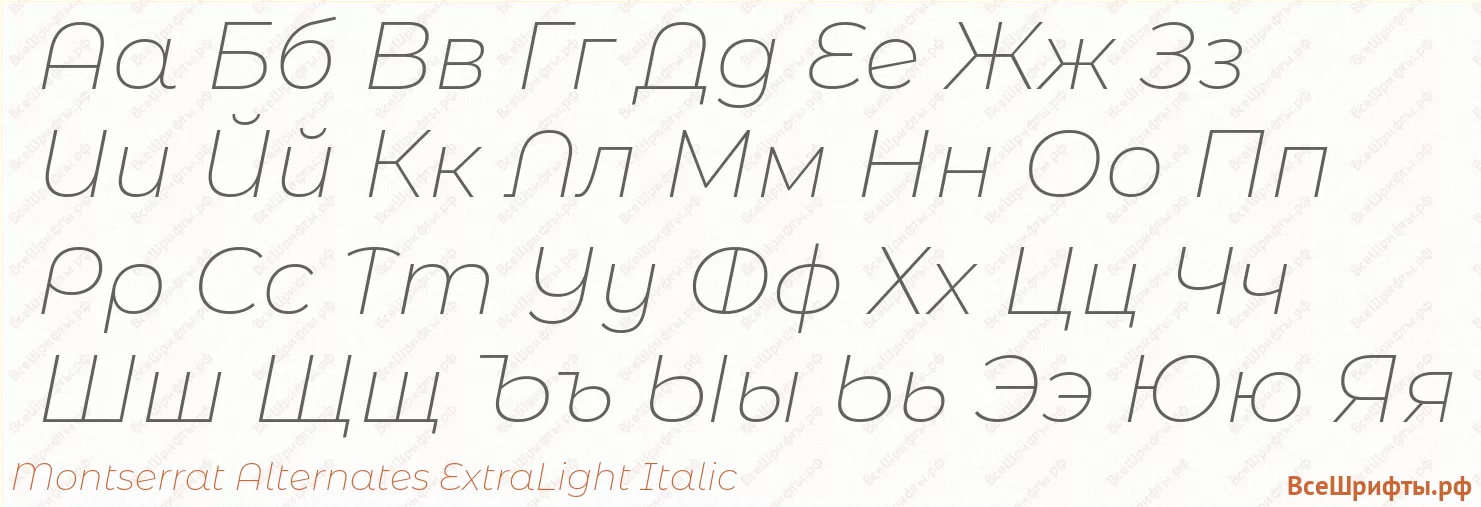Шрифт Montserrat Alternates ExtraLight Italic с русскими буквами Шрифт Montserrat Alternates ExtraLight Italic с русскими буквами