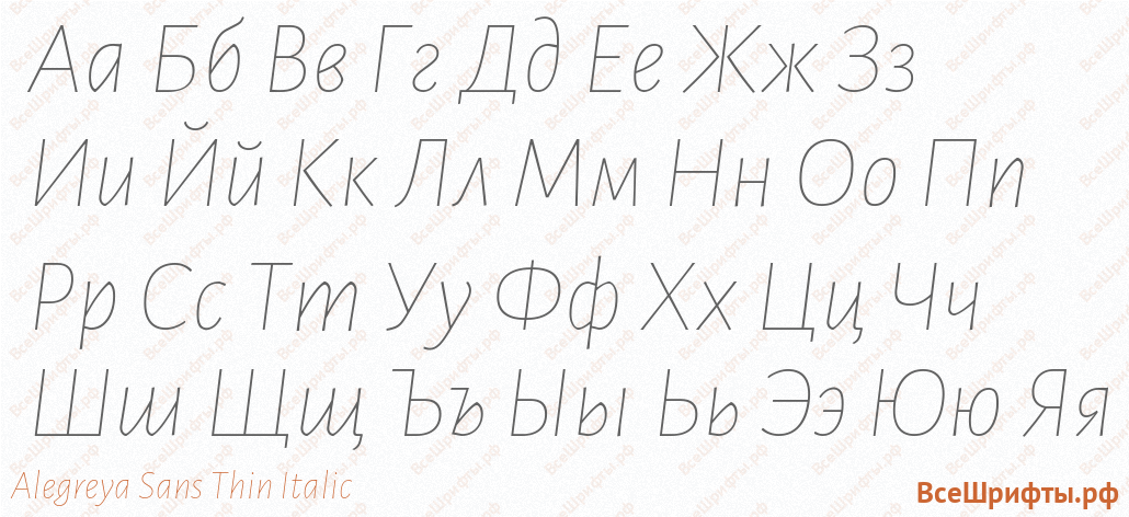 Шрифт Alegreya Sans Thin Italic с русскими буквами Шрифт Alegreya Sans Thin Italic с русскими буквами