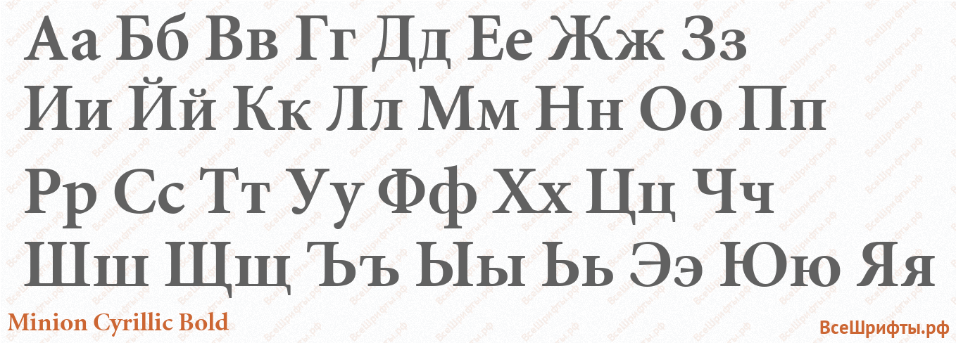Шрифт Minion Cyrillic Bold с русскими буквами Шрифт Minion Cyrillic Bold с русскими буквами