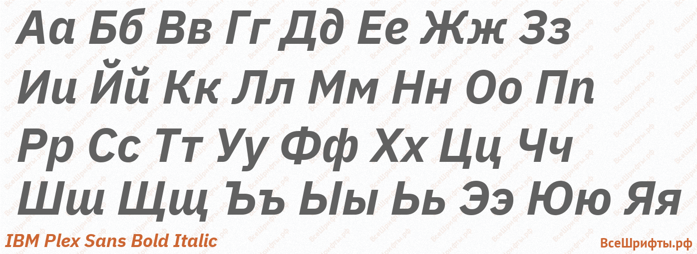 Шрифт IBM Plex Sans Bold Italic с русскими буквами Шрифт IBM Plex Sans Bold Italic с русскими буквами