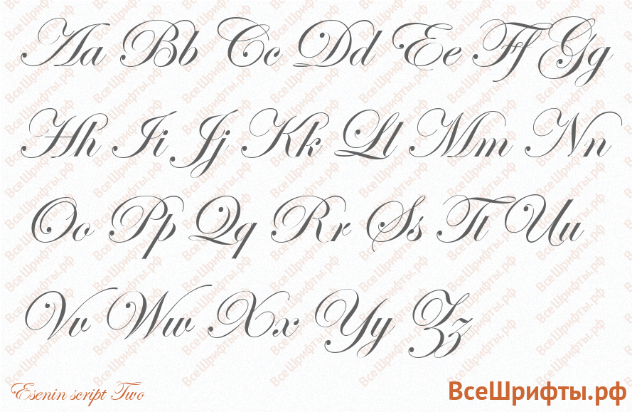 Шрифт Esenin script Two с латинскими буквами Шрифт Esenin script Two с латинскими буквами