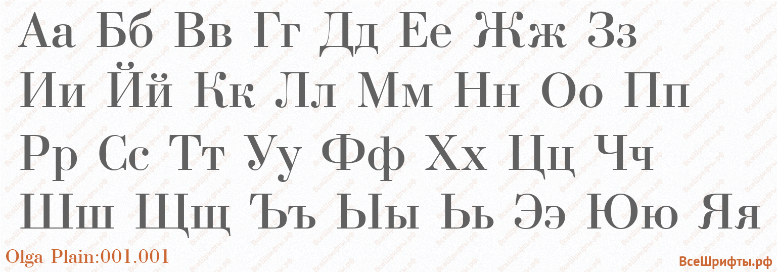 Шрифт Olga Plain:001.001 с русскими буквами Шрифт Olga Plain:001.001 с русскими буквами