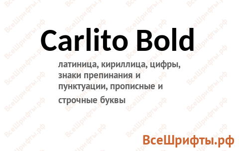 Шрифт Carlito Bold