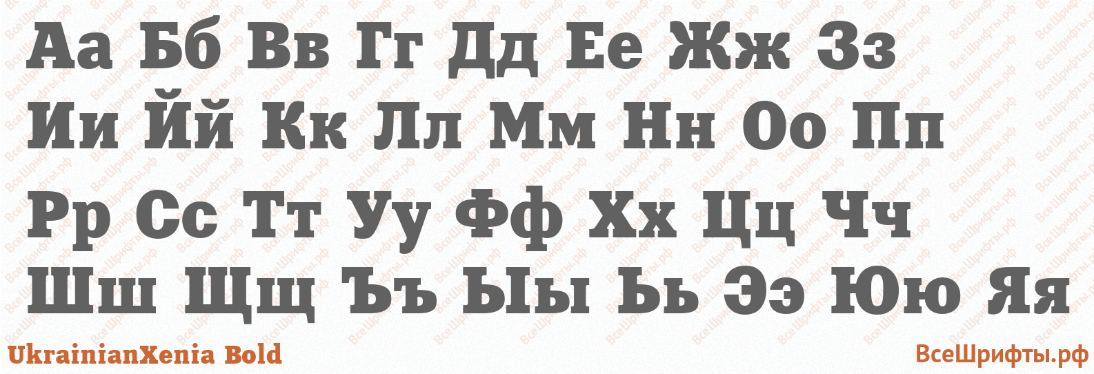 Шрифт UkrainianXenia Bold с русскими буквами Шрифт UkrainianXenia Bold с русскими буквами
