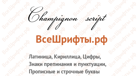 Шрифт Champignon script
