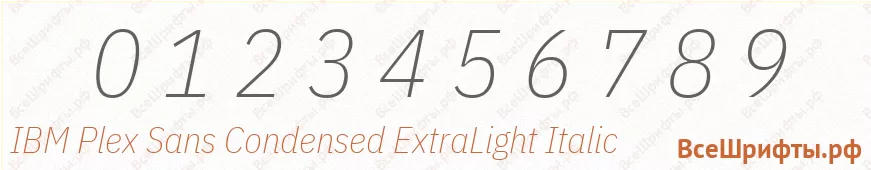 Шрифт IBM Plex Sans Condensed ExtraLight Italic с цифрами Шрифт IBM Plex Sans Condensed ExtraLight Italic с цифрами