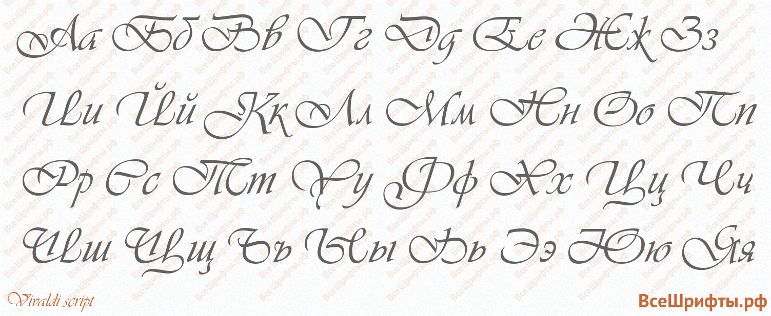 Шрифт Vivaldi script с русскими буквами Шрифт Vivaldi script с русскими буквами