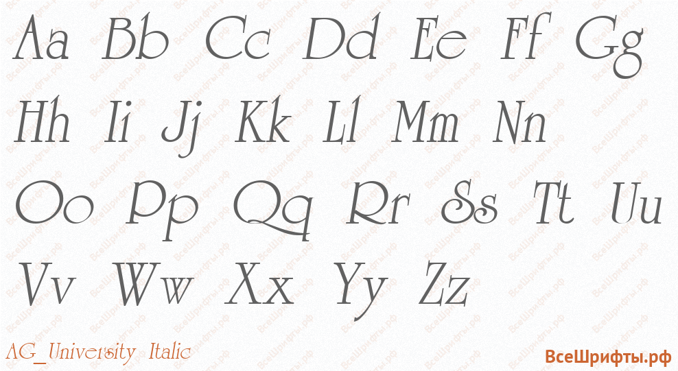 Шрифт AG_University Italic с латинскими буквами Шрифт AG_University Italic с латинскими буквами