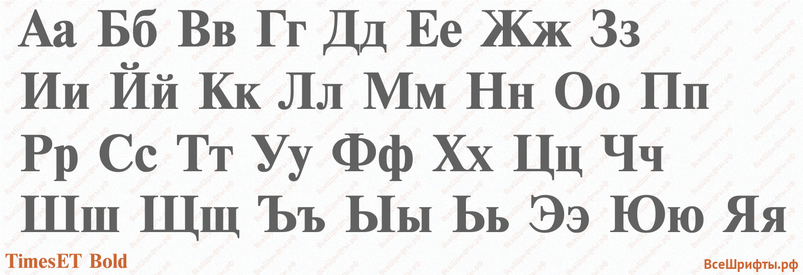 Шрифт TimesET Bold с русскими буквами Шрифт TimesET Bold с русскими буквами