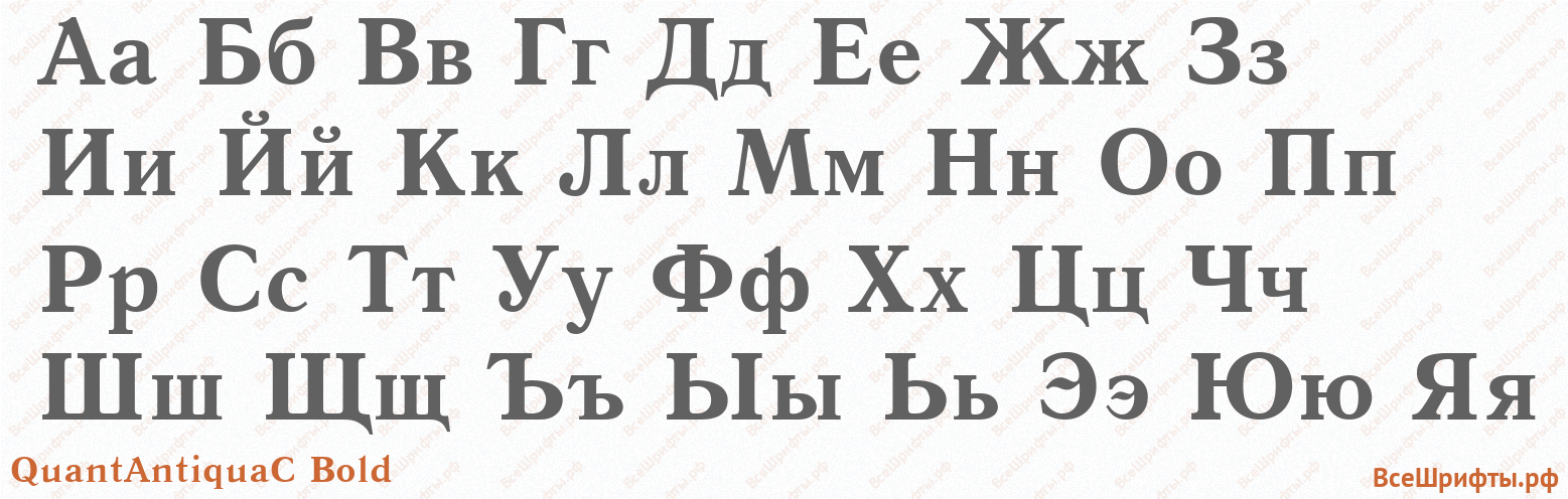 Шрифт QuantAntiquaC Bold с русскими буквами Шрифт QuantAntiquaC Bold с русскими буквами