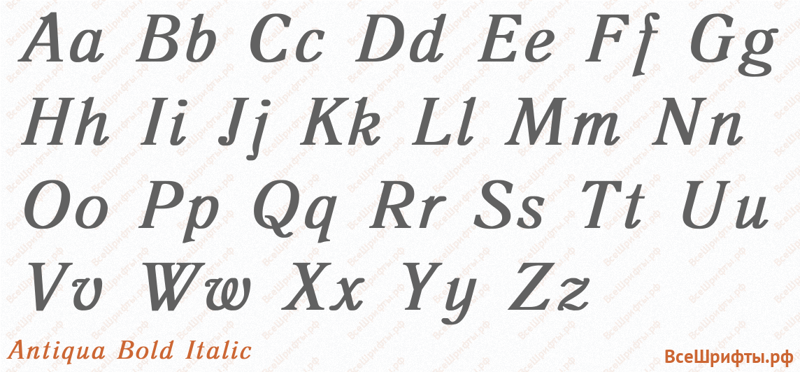 Шрифт Antiqua Bold Italic с латинскими буквами Шрифт Antiqua Bold Italic с латинскими буквами