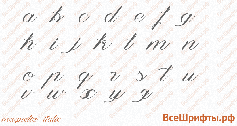 Шрифт Magnolia Italic с латинскими буквами Шрифт Magnolia Italic с латинскими буквами