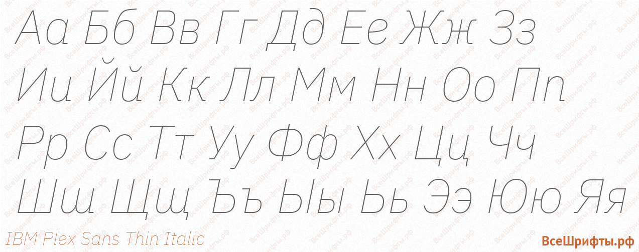 Шрифт IBM Plex Sans Thin Italic с русскими буквами Шрифт IBM Plex Sans Thin Italic с русскими буквами