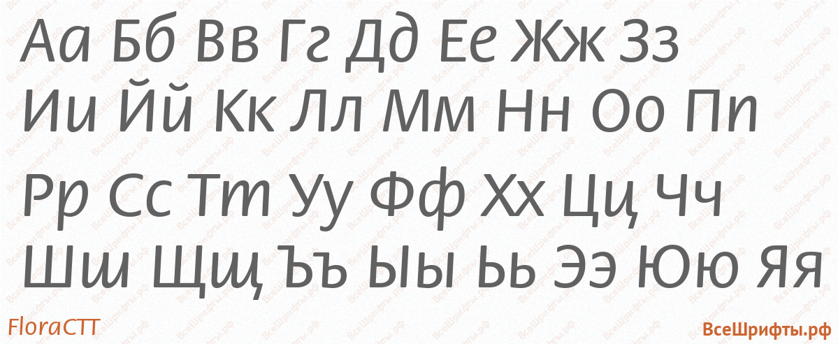 Шрифт FloraCTT с русскими буквами Шрифт FloraCTT с русскими буквами