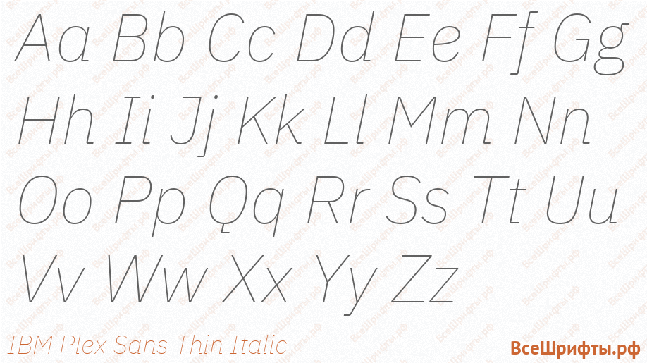 Шрифт IBM Plex Sans Thin Italic с латинскими буквами Шрифт IBM Plex Sans Thin Italic с латинскими буквами