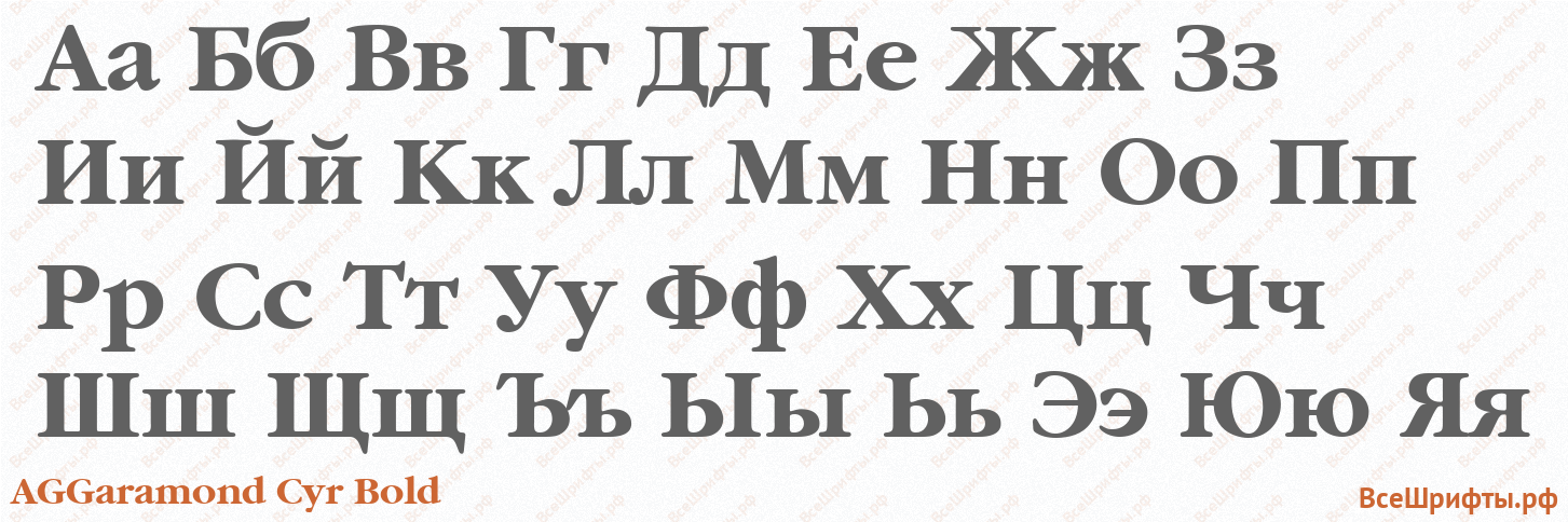 Шрифт AGGaramond Cyr Bold с русскими буквами Шрифт AGGaramond Cyr Bold с русскими буквами