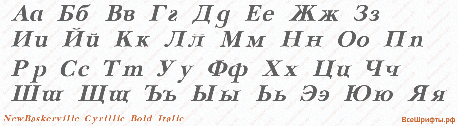 Шрифт NewBaskerville Cyrillic Bold Italic с русскими буквами Шрифт NewBaskerville Cyrillic Bold Italic с русскими буквами