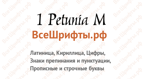 Шрифт 1 Petunia M
