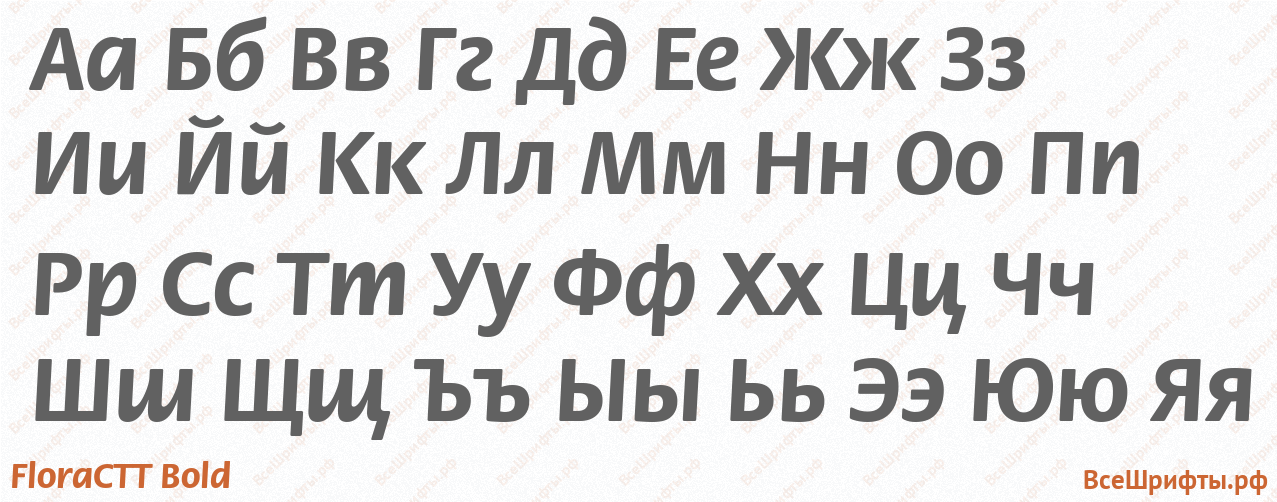 Шрифт FloraCTT Bold с русскими буквами Шрифт FloraCTT Bold с русскими буквами