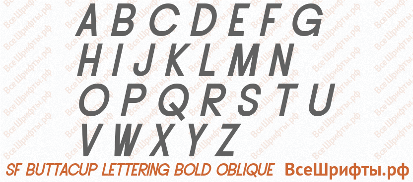 Шрифт SF Buttacup Lettering Bold Oblique с латинскими буквами Шрифт SF Buttacup Lettering Bold Oblique с латинскими буквами