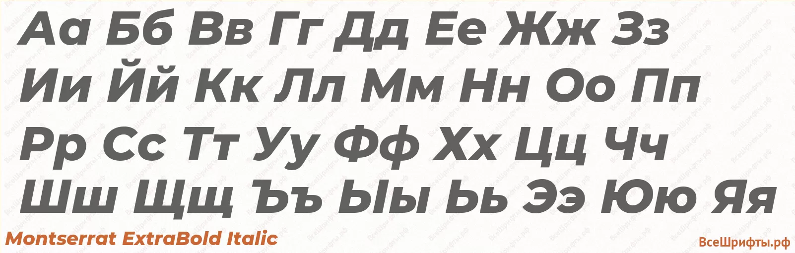 Шрифт Montserrat ExtraBold Italic с русскими буквами Шрифт Montserrat ExtraBold Italic с русскими буквами