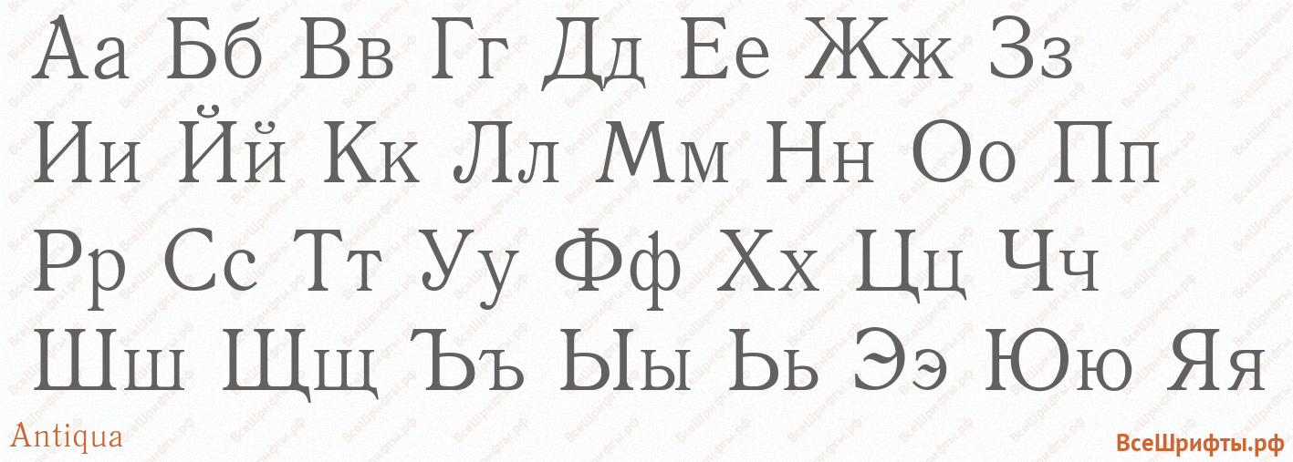 Шрифт Antiqua с русскими буквами Шрифт Antiqua с русскими буквами