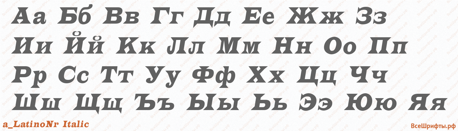 Шрифт a_LatinoNr Italic с русскими буквами Шрифт a_LatinoNr Italic с русскими буквами