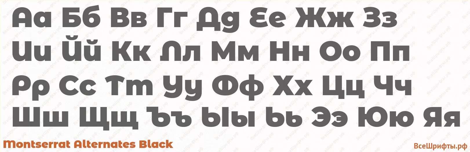 Шрифт Montserrat Alternates Black с русскими буквами Шрифт Montserrat Alternates Black с русскими буквами