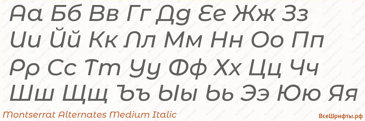 Шрифт Montserrat Alternates Medium Italic с русскими буквами Шрифт Montserrat Alternates Medium Italic с русскими буквами